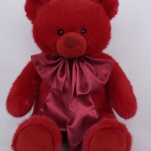 Plush Red Teddy Bear 🧸